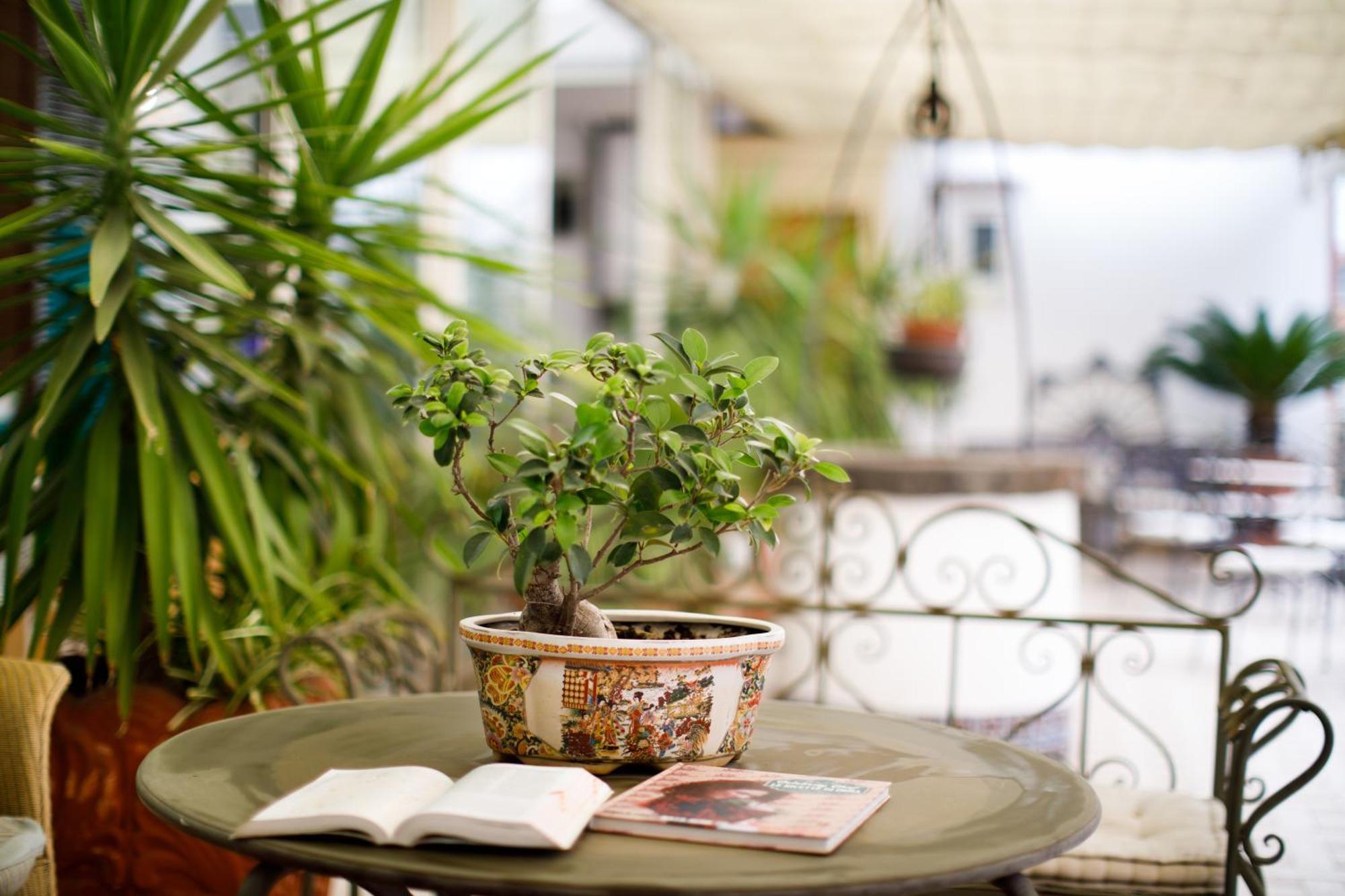 Hotel Del Corso Sorrento Ngoại thất bức ảnh